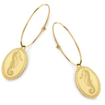 Ladies' Earrings CO88...