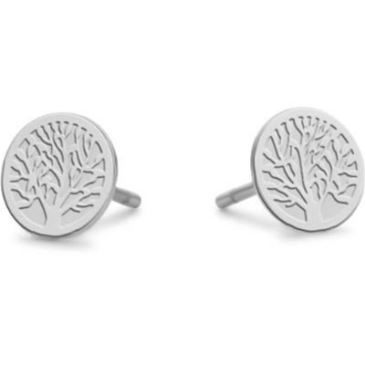 Ladies' Earrings CO88...