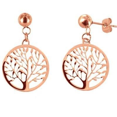Ladies' Earrings CO88...