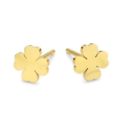 Ladies' Earrings CO88...