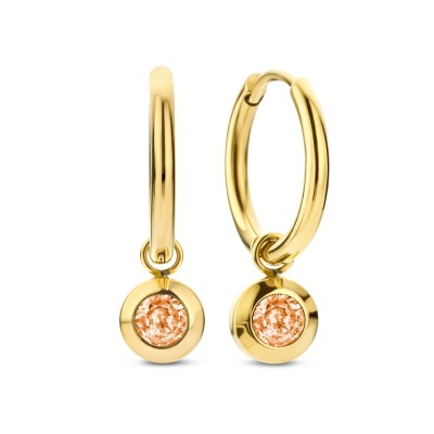 Ladies' Earrings CO88...