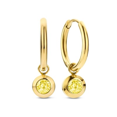 Ladies' Earrings CO88...