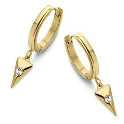 Ladies' Earrings CO88...