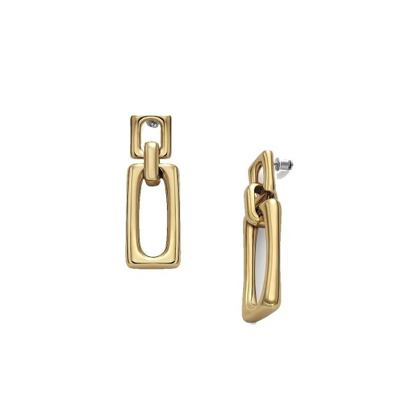 Ladies' Earrings Skagen SKJ1701710 Golden