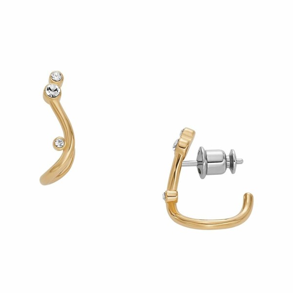 Ladies' Earrings Skagen SKJ1760710 Golden