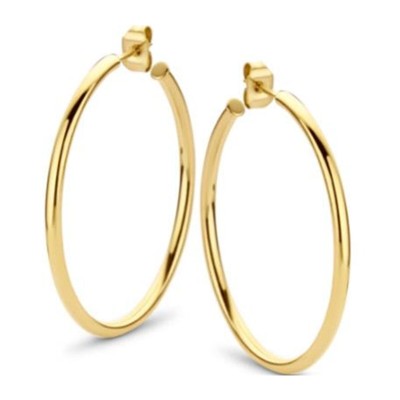 Ladies' Earrings CO88...