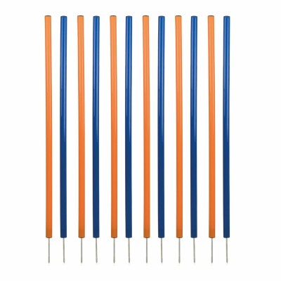 Harjoituslelu Trixie