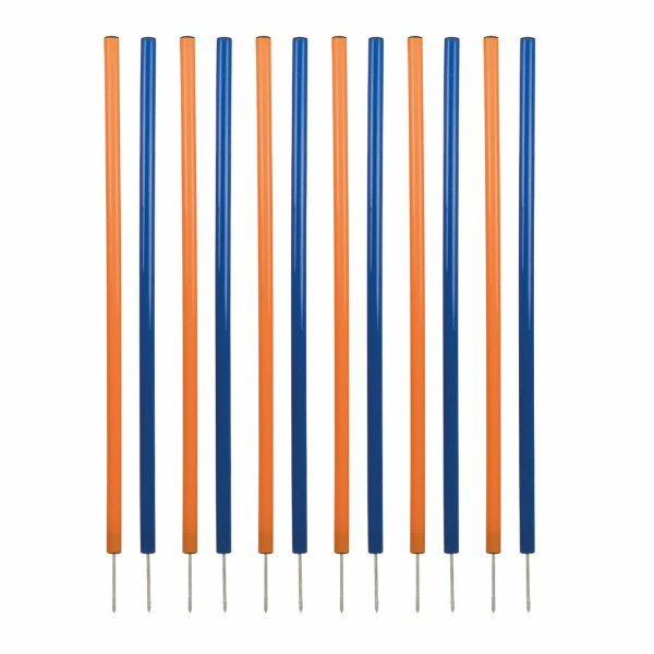 Mokomasis žaislas Trixie