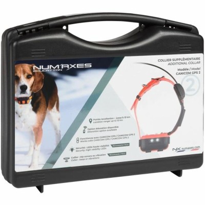 Поисковик антипропажа...