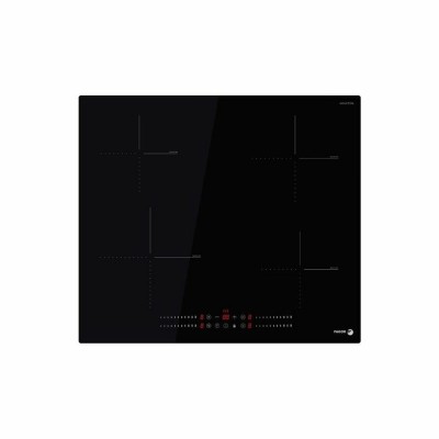 Induction Hot Plate Fagor