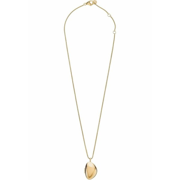 Ladies' Pendant Skagen SKJ1750710 Golden