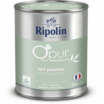 Primer Paint Ripolin