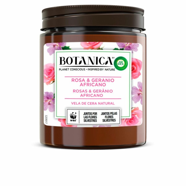 Aromatizuota žvakė Air Wick Botanica Pelargonija Rožių 205 g