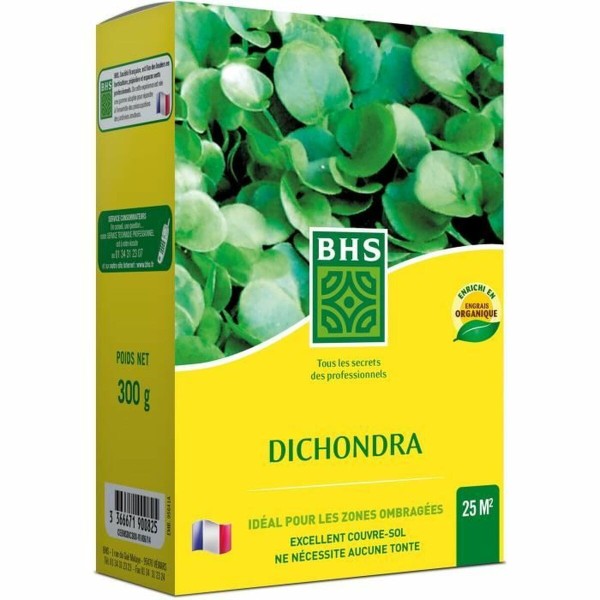 Seemned BHS Dichondra