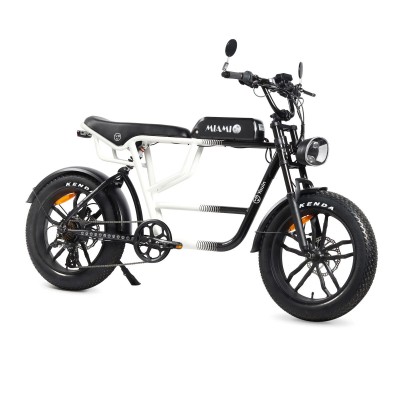Electric Bike Youin BK7000...