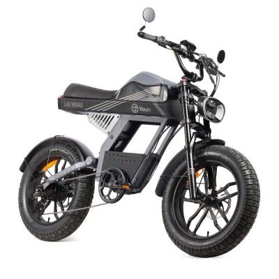 Electric Bike Youin BK7100...