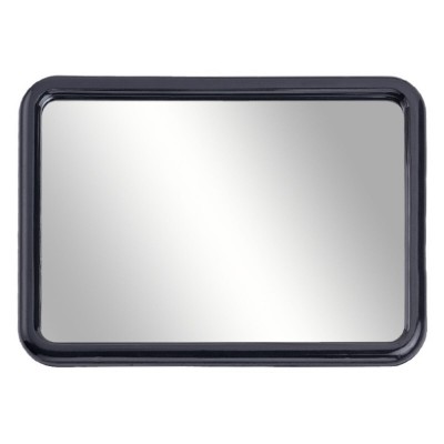 Mirror with Mounting...