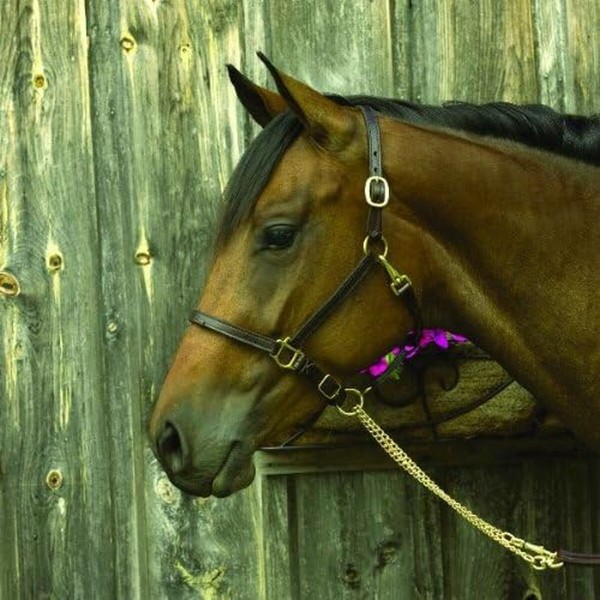 Moteriški žiedas Majorica 17218.01.1.913.010.1