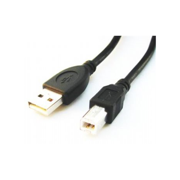 Cablexpert | CCP-USB2-AMBM-6 | USB-A to USB-B USB A | USB B