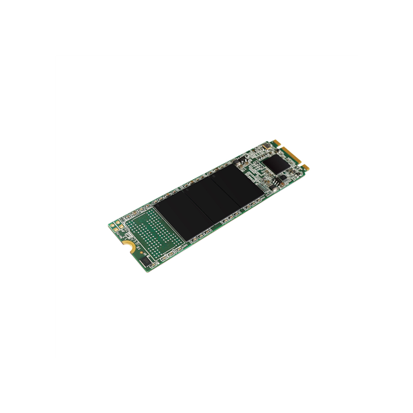 Silicon Power | A55 | 256 GB | Solid-state drive interface M.2 SATA | Read speed 550 MB/s | Write speed 450 MB/s