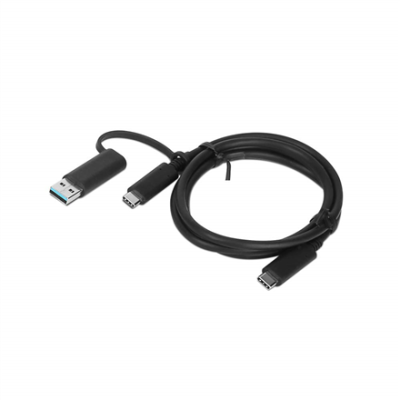Lenovo | 1m, Hybrid USB-C...