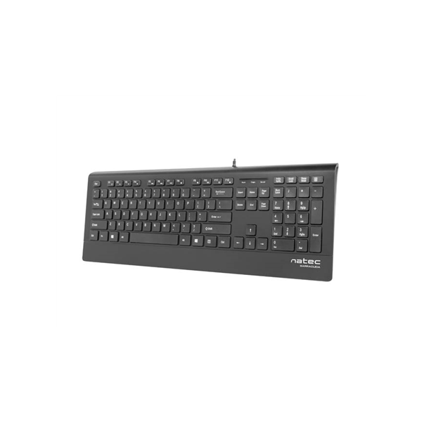 Natec Keyboard, Barracuda, US Layout, Slim | Natec | Keyboard | Barracuda | Standard | Wired | US | Black | 529 g