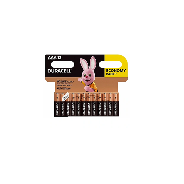 Duracell | Basic MN2400 BL12 | AAA