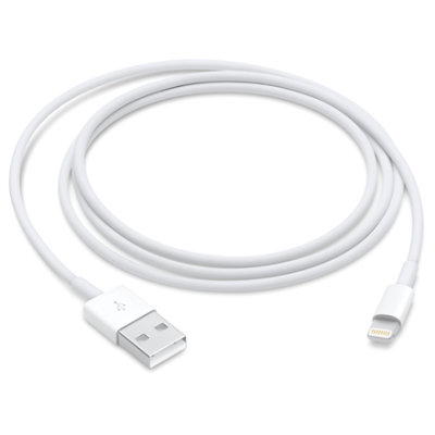 Apple Lightning to USB...