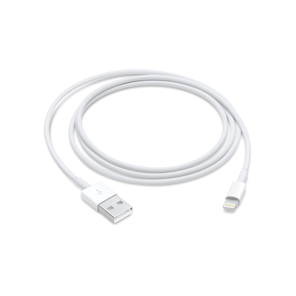 Apple Lightning to USB Cable (1m) | Apple