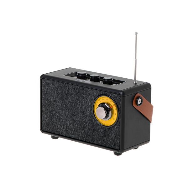 Camry Speaker with radio | CR 1902 B | 5 W | Bluetooth | Black | Wireless connection