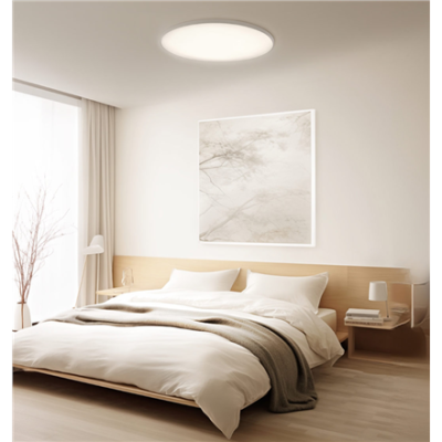 Xiaomi Smart Ceiling Light...