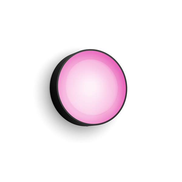 Philips Hue WCA Daylo Outdoor Wall Lantern, Black | 15 W | 2000-6500 Hue White Colour Ambiance