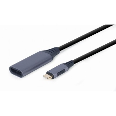 USB C – DisplayPort...