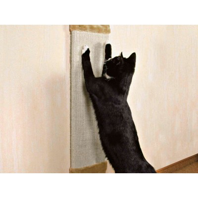 Küüneteritaja kassidele...