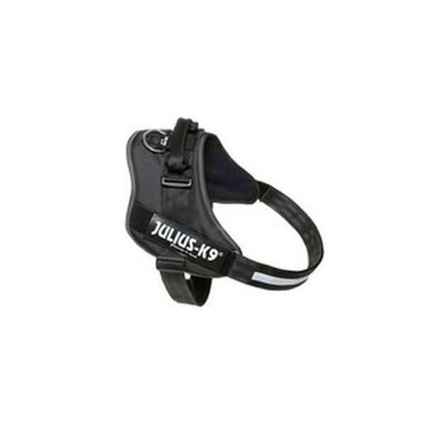 Koera rakmed Julius K9 IDC Must XXL 4