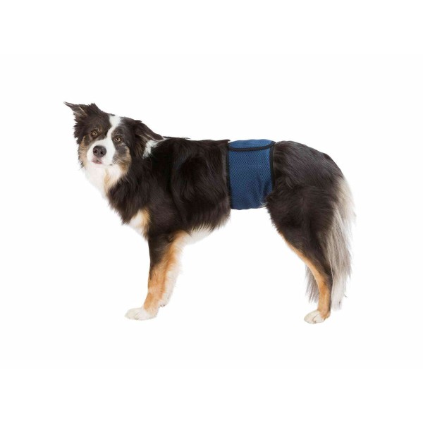 Stiprinājuma lente Trixie Vīrietis Vēdermuskuļi