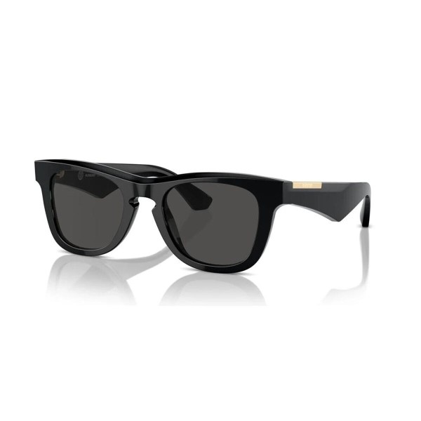 Men's Sunglasses Burberry BE 4426