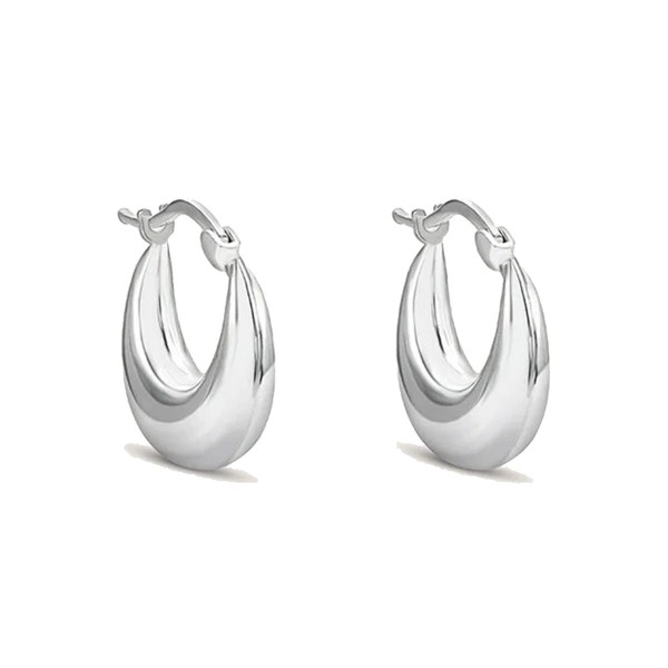 Ladies' Earrings Stroili 1665159 Silver