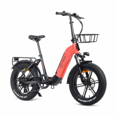 Electric Bike Youin BK1716...
