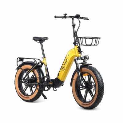 Electric Bike Youin BK1750...