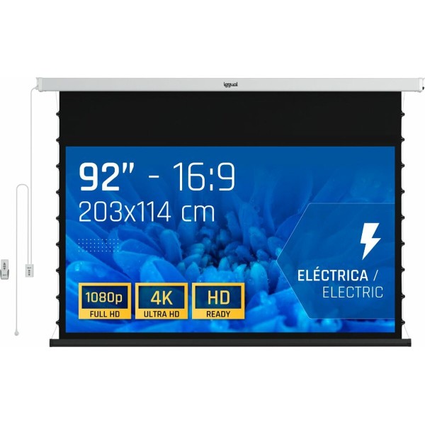 TDT Tuner iggual IGG319680