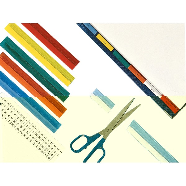 Folder Esselte Multicolour