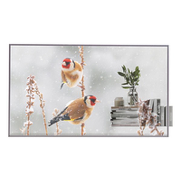 Videoseinä Monitori LG 55EW5P-M Full HD 55"