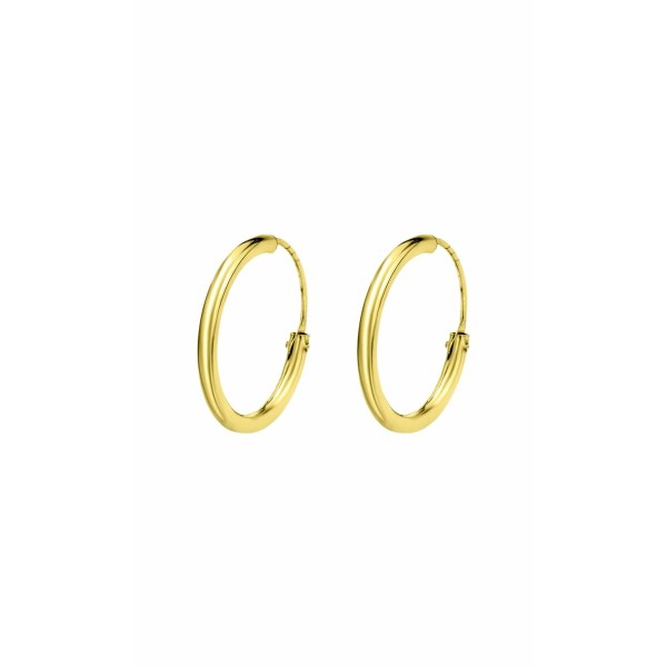 Sieviešu Auskari Lotus WS03010/20 Bronza