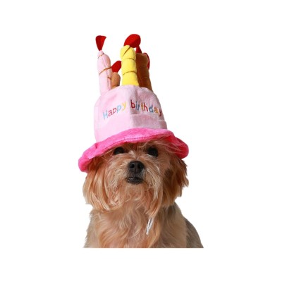 Dog Costume Pink Hat Birthday