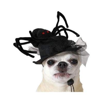 Dog Costume Black Hat
