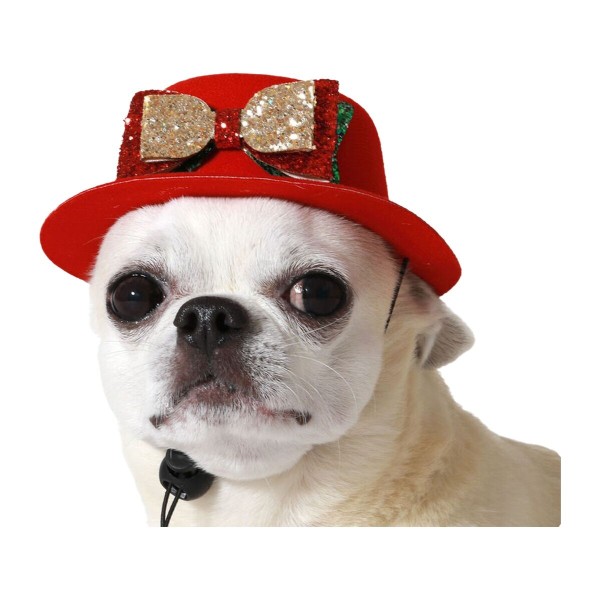 Dog Costume Red Hat