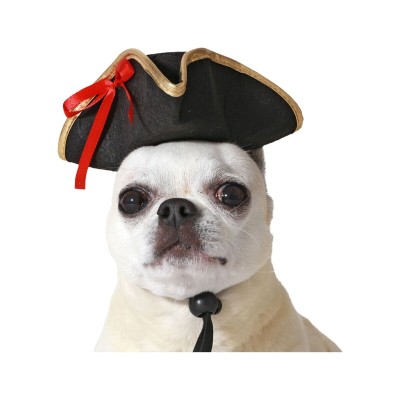 Dog Costume Black Hat