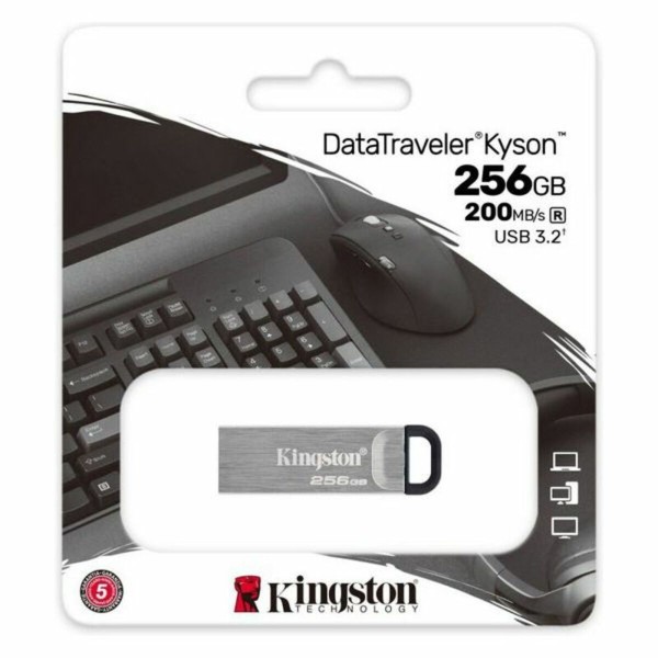 Pendrive Kingston DTKN/256GB 256 GB USB 3.2 Чёрный 256 GB