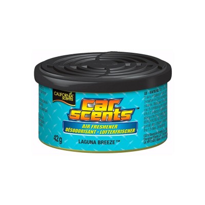 Automobilio oro gaiviklis...